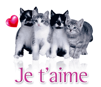je t'aime mon amour